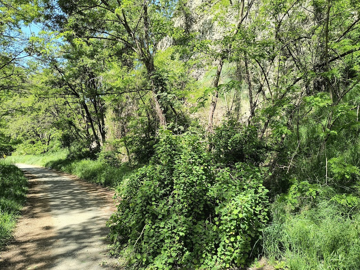 Scheda di dettaglio A valle dell'abitato di Seez